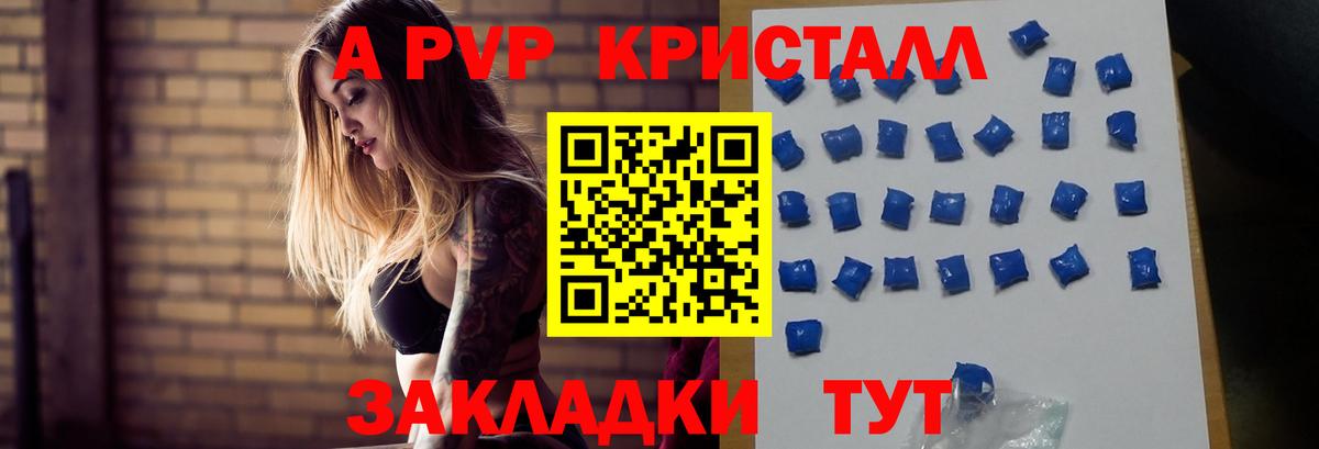 A PVP СК КРИС Бердск