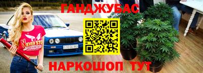 гашик Бийск