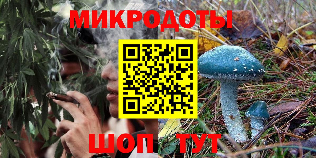 Галлюциногенные грибы Psilocybe Бердск